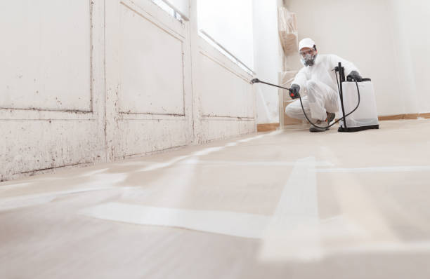 Black mold remediation team in Waterford